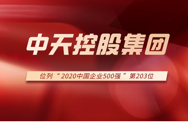 wnsr威尼斯集团列2020中国企业500强第203位！